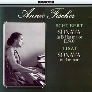 Schubert: Piano Sonata No. 21 / Liszt: Piano Sonata in B Minor - Franz Schubert