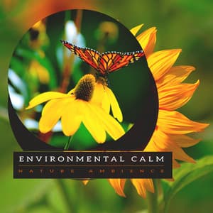 Environmental Calm - Nature Ambience