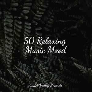 50 Relaxing Music Mood - Academia de Meditação Buddha