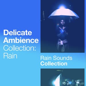Delicate Ambience Collection: Rain - Rain Sounds Collection