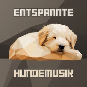 Entspannte Hundemusik - Hundemusik