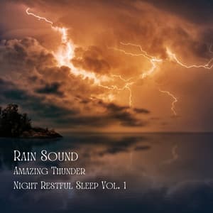 Rain Sound: Amazing Thunder Night Restful Sleep Vol. 1 - Sleep Meditation