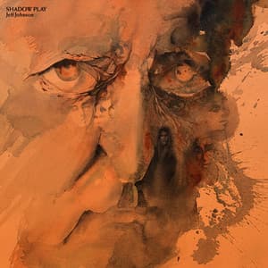 Shadow Play - Jeff Johnson