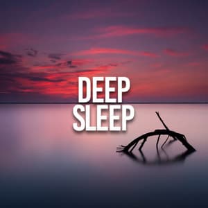 Deep Sleep - Dog Music Dreams