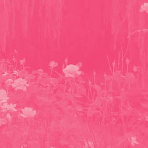 Wicked Piano Jazz Duo - Ambiance for Training Horizons - Instrumental Chill Jazz