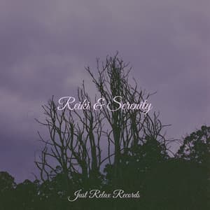Reiki & Serenity - Música a Relajarse