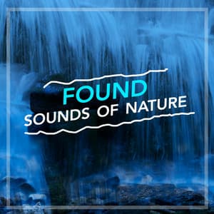 Found Sounds of Nature - Bruits naturels