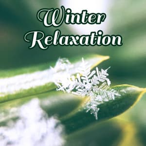 Winter Relaxation: Top Music Ambient, Spa, Stress Reduction, Depression Relief, Meditation, Serenity Atmosphere - Relaxing Evening Music Universe