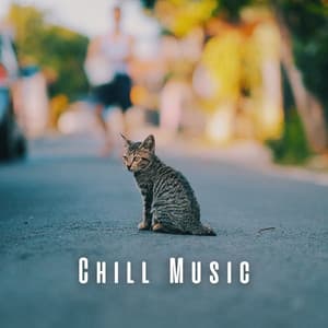 Chill Music: The Cats' Comfort Zone - Morning Chill Out Playlist