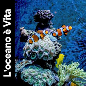 L'oceano è Vita - Suoni Naturali