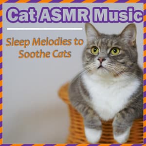 Cat Asmr Music - Sleep Melodies to Soothe Cats - RelaxMyCat