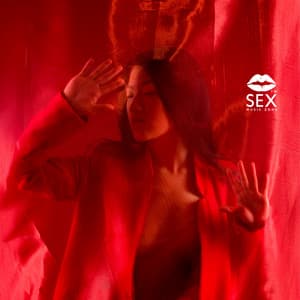 Erotic Lounge & Dreamy Rhythms - Sex Music Zone
