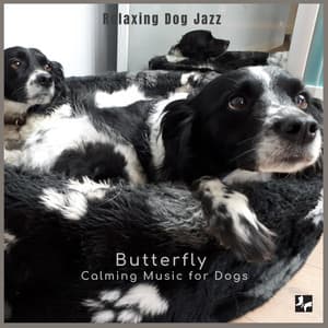 Relaxing Dog Jazz - Butterfly Calming Music for Dogs