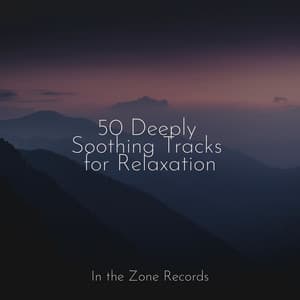 50 Deeply Soothing Tracks for Relaxation - Rising Higher Meditation