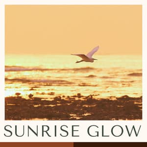 Sunrise Glow: Best Bossa Nova Music - Bossa Nova Cafe Music