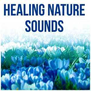 Healing Nature Sounds - Music Therapy, Anti Stress, Harmony, Yoga Poses, Rain, Meditation for Sleep, Healing Music, New Age, Massage - Natural Cure Sleep Land