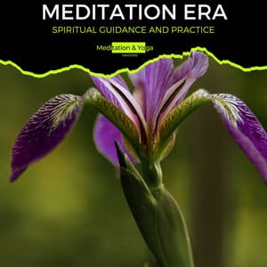 Meditation Era - Spiritual Guidance and Practice - Zen Healing Melodies