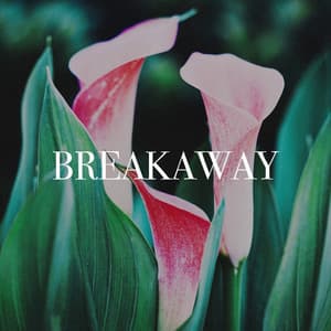 Breakaway - The Summer Hits Band