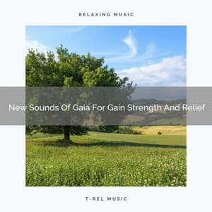 New Sounds Of Gaia For Gain Strength And Relief - Deep Sleep Nature Sounds