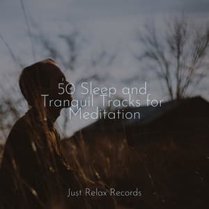 50 Sleep and Tranquil Tracks for Meditation - Rest & Relax Nature Sounds Artists