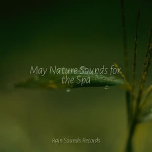 May Nature Sounds for the Spa - Canciones de Cuna para Bebés Acadèmico