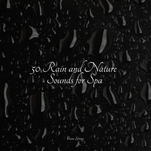 50 Rain and Nature Sounds for Spa - Forest Soundscapes