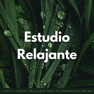 Estudio Relajante: Lluvia Y Música Relajante Para Un Aprendizaje Rápido - Fábrica de Sonidos de Lluvia STHLM