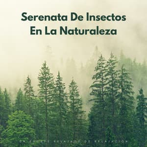 Serenata De Insectos En La Naturaleza: Un Escape Relajado De Relajación - naturae