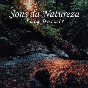Sons da Natureza para Dormir - Oasis Relaxamento