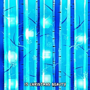 15 Christmas Beauty - The Merry Christmas Players