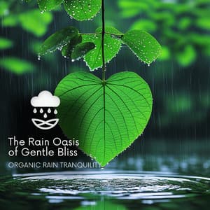 The Rain Oasis of Gentle Bliss - Organic Rain Tranquility
