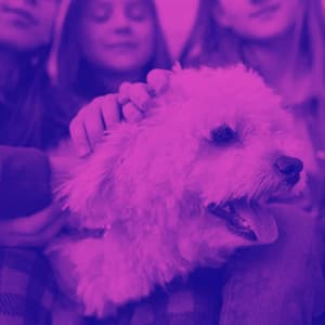 Ambiance for Dreamy Doggo - Relaxing Dog Music Classics