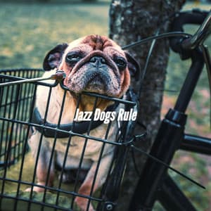 Jazz Dogs Rule - Sleeptime for Dogs