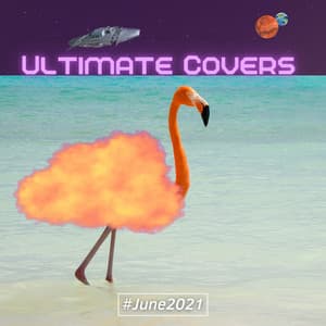 Ultimate Covers - Sifare Cover Band