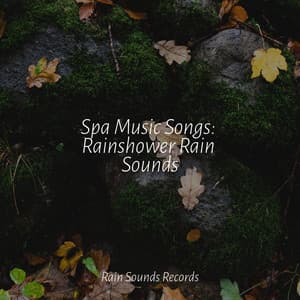 Spa Music Songs: Rainshower Rain Sounds - Relaxation