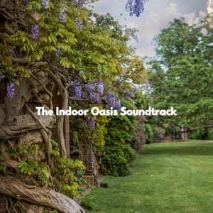 The Indoor Oasis Soundtrack - Midnight Jazz Playlist