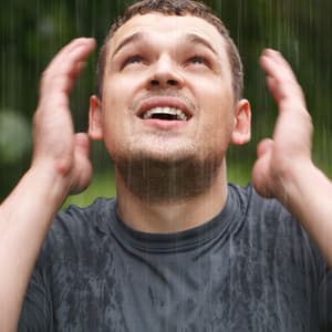 Raindrops of Relaxation: Soothing Waters and Chill Soundscapes - Forest Rain FX