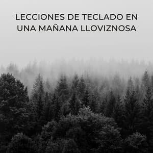 Lecciones De Teclado En Una Mañana Lloviznosa - Relajación Lluvia Meditación