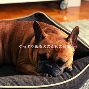 ぐっすり眠る犬のための音楽 - Morgen Jazz