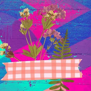 Music for Entertaining Loads - Wine Bar Music