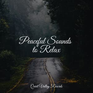 Peaceful Sounds to Relax - Relaxing Spa Music