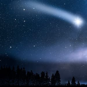 Whispers of Wonder – Gentle Melodies and Soothing New Age Music for Babies - Quiet Wonder