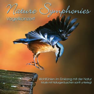 Nature Symphonies - Dave Miller