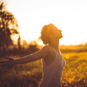 Warmth and Relax: A Soothing Fire Chill Experience - Soothing Music Collection