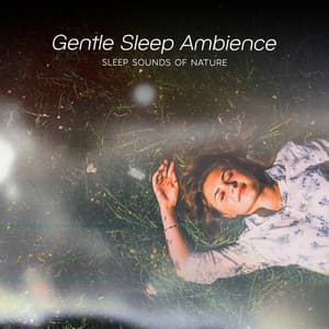 Gentle Sleep Ambience - Sleep Sounds of Nature