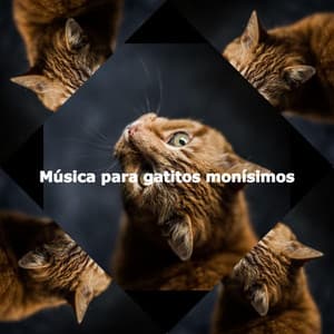 Música para gatitos monísimos - Suave Jazz Soundtracks