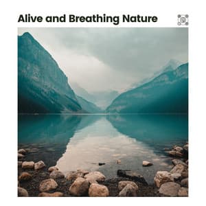 Alive and Breathing Nature - Sounds of the Forest