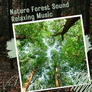 Nature Forest Sound Relaxing Music Vol. 1 - Relaxing Music