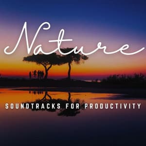 The Zen of Focus: Soundtracks for Productivity - Brain Stimulation Consort
