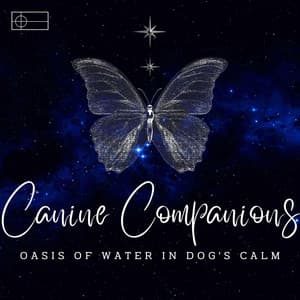 Ambient Waterscapes: Binaural Soundscapes for Canine Companions - Rivulet
